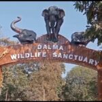 सरायकेला : गजराजों का झुंड पेट के आग बुझाने पहुंचे रेलवे ट्रैक के पास