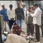 जमशेदपुर : विभागीय नज़र अंदाज़ और लापरवाही के कारण गौ-माता की जान गई…