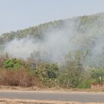 दलमा पहाड़ में भीषण आग! वन विभाग की तैयारी पर उठे सवाल