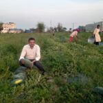 परंपरागत खेती से आधुनिक क्रांति 25 किसान बने ‘लखपति’, गांवों में बदली तस्वीर