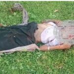 कुंदरुकोचा जंगल में महुआ चुनने गए एक 65 वर्षीय वृद्धा महिला को युवक ने लाठी से पिट -पिट कर हत्या। क्रोधित ग्रामीणों ने आरोपी युवक को पकड़कर पिटाई करते हुए पुलिस को सौंपा।