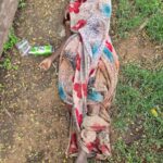 राँची : टाटीसिलवे थाना क्षेत्र में अज्ञात महिला का शव मिलने से सनसनी, जांच में जुटी पुलिस
