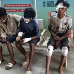 दुमका : नशा एवं रफ्तार का कहर; बाइक सवार तीन युवक गंभीर रूप से घायल