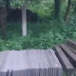 आंसनबनी के जाताल पूजा स्थल का विवाद फिर गरमाया, ग्रामीणों ने किया विरोध