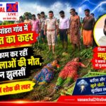कुकड़ू में वज्रपात का कहर: खेत में काम कर रहीं दो महिलाओं की मौत, तीन झुलसीं